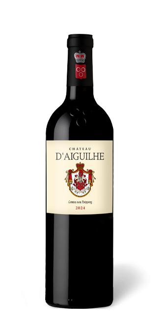 Château d&#039;Aiguilhe