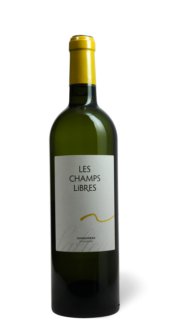 Les Champs Libres